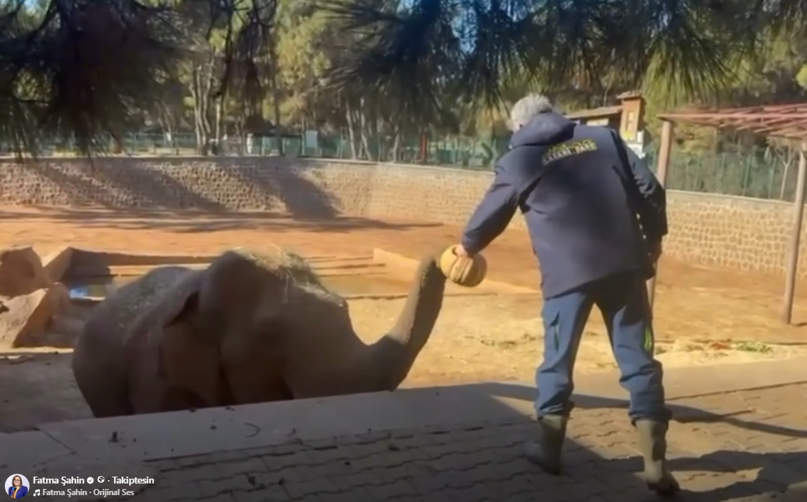 ŞAHİN’DEN “GABİ” AÇIKLAMASI: FİLİMİZ SAĞLIKLI, PARKIMIZ ZİYARETE AÇIK