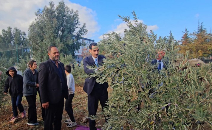 Öğrenciler, zeytinin gelirini Mehmetçik vakfına bağışladı