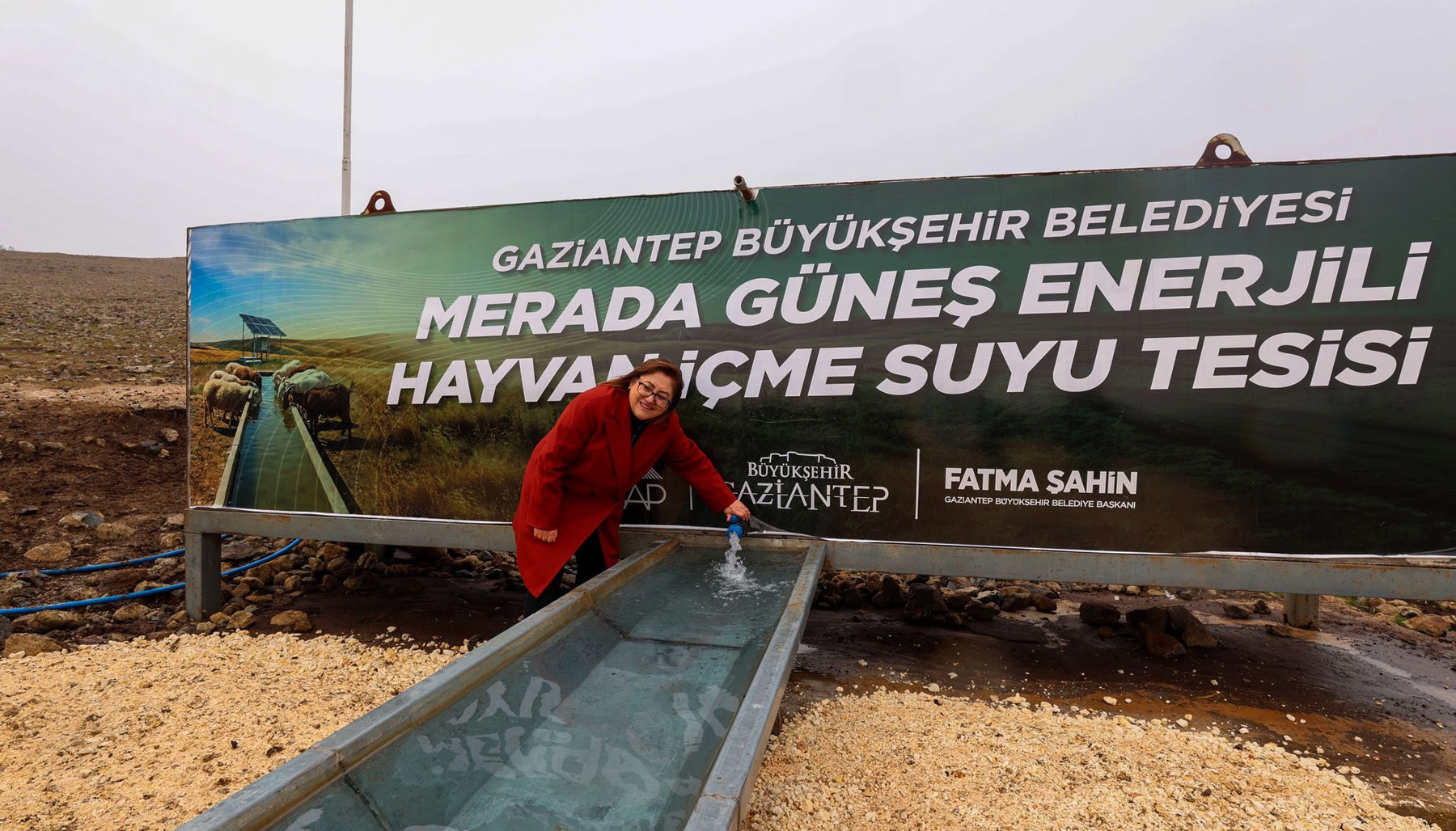 GAZİANTEP’TE MERALARDA HAYVANLAR SUYA KAVUŞUYOR