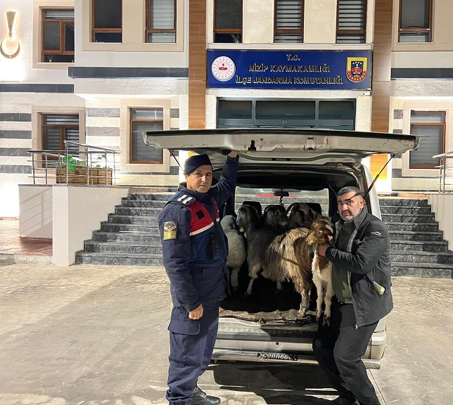 SAHTE PARAYLA KÜÇÜKBAŞ HAYVAN DOLANDIRICILIĞI: 3 ŞÜPHELİ YAKALANDI