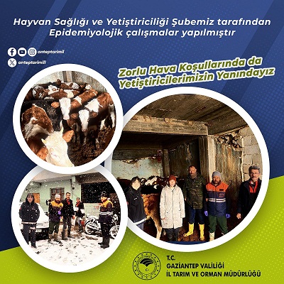 TARIM VE ORMAN İL MÜDÜRLÜĞÜ’NDEN İSLAHİYE’DE EPİDEMİYOLOJİK ÇALIŞMA