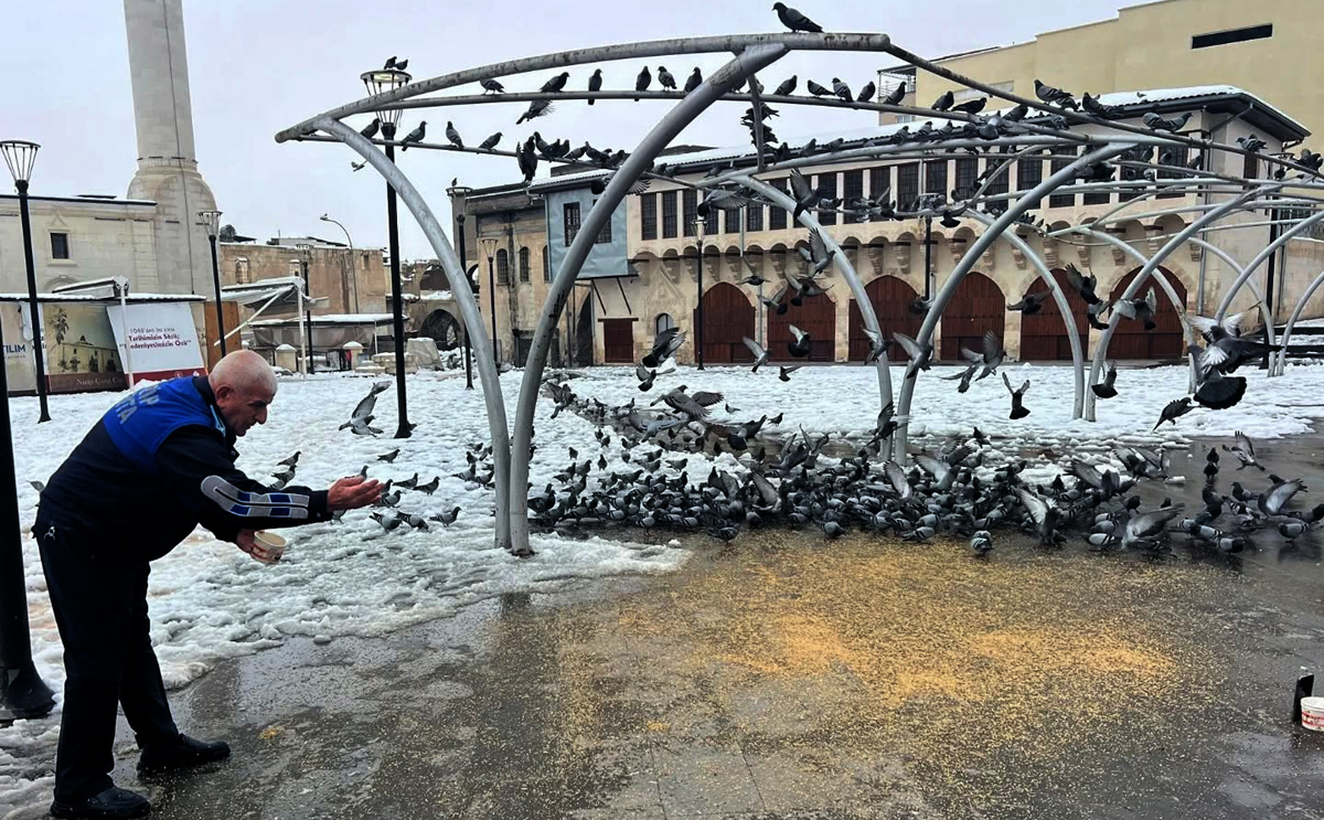 NİZİP’TE SOKAK HAYVANLARI UNUTULMADI