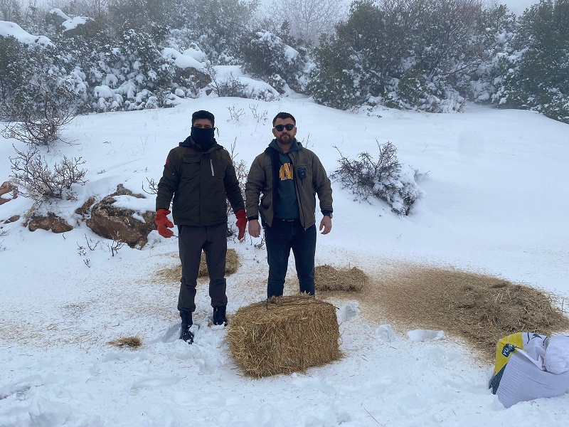 DKMPM EKİPLERİ YABAN HAYVANLARI İÇİN DOĞAYA YEM BIRAKTI