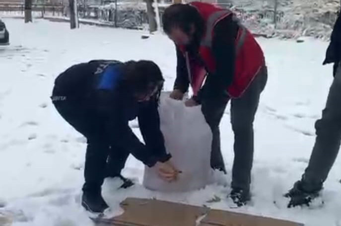 BELEDİYE SOKAK HAYVANLARI İÇİN YİYECEK BIRAKTI