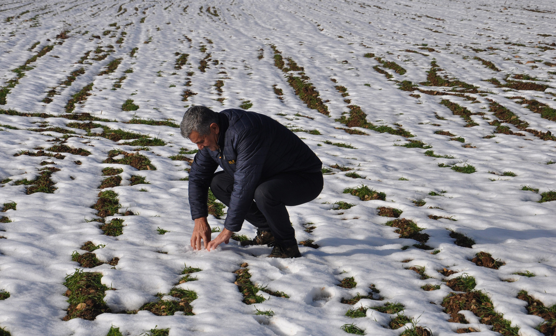 GAZİANTEP’TE YAĞAN KAR ÇİFTÇİNİN YÜZÜNÜ GÜLDÜRDÜ