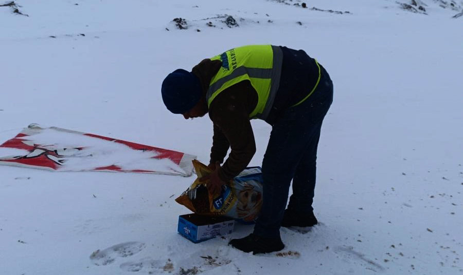 GAZİANTEP’TE HAYVANLAR İÇİN MAMA BIRAKTILAR