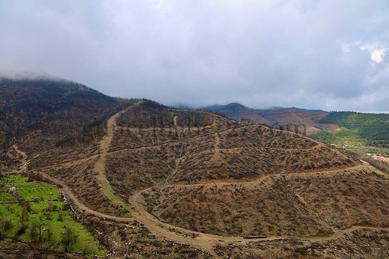 HASSA’DA “YEŞİL VATAN” YENİDEN CANLANIYOR