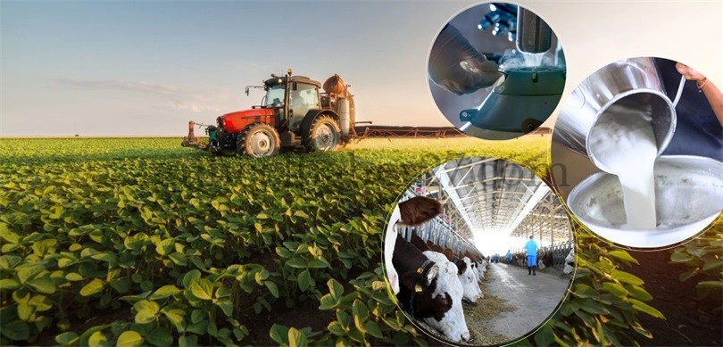 ÇİFTÇİLERE 11 MİLYAR LIRALIK DESTEKLEME ÖDEMESİ HESAPLARA YATIYOR