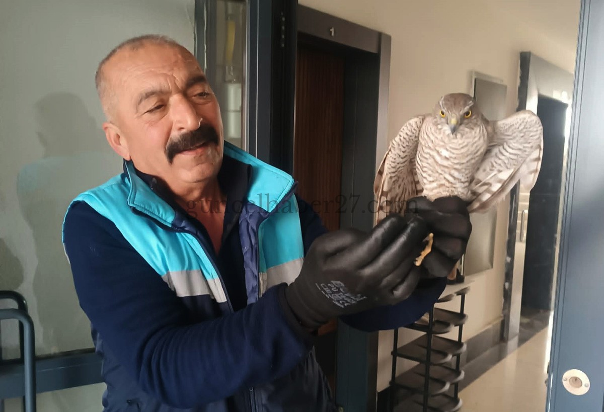 YAKALADIĞI ATMACAYI DOĞAYA BIRAKTI