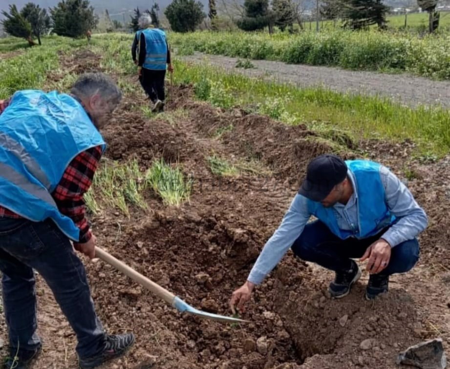 DENETİMLİ SERBESTLİK HÜKÜMLÜLERİ FİDAN DİKTİ