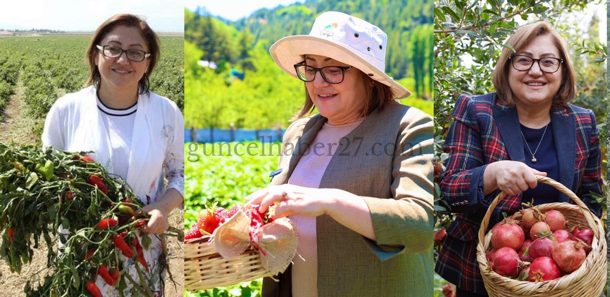 GAZİANTEP’TE HAYDİ TARLADAN SOFRAYA