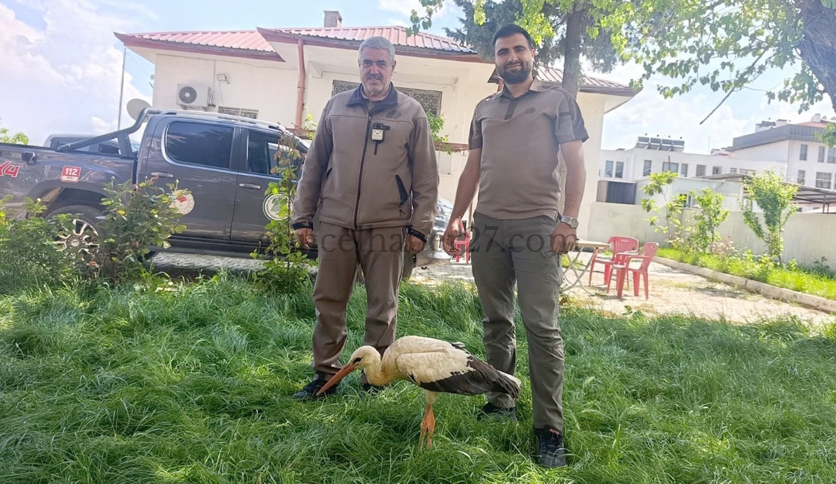 YARALI LEYLEK KORUMA ALTINA ALINDI