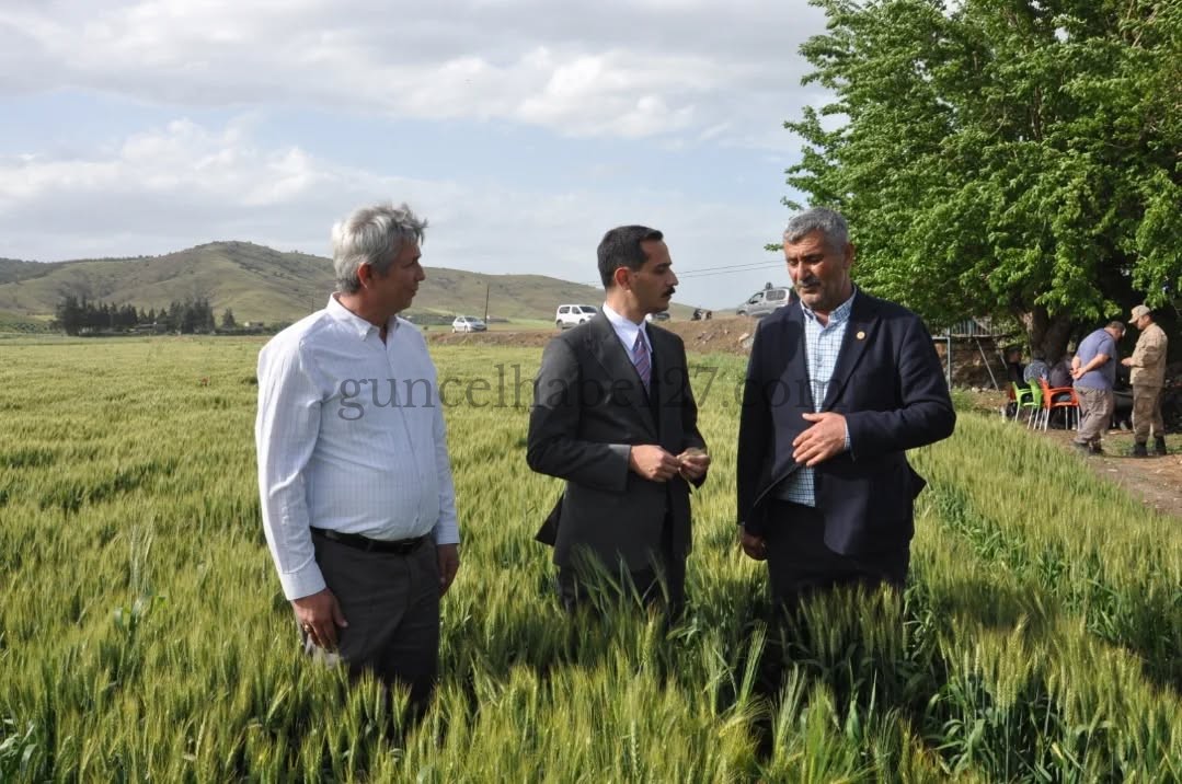 KAYMAKAM SOYLU, TARLADA ÇALIŞAN ÇİFTÇİLERİ ZİYARET ETTİ
