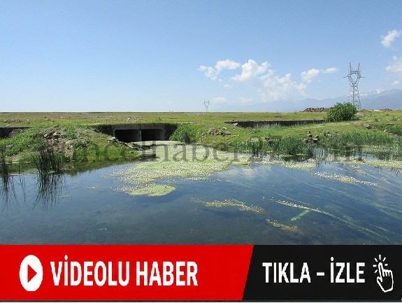 GAZİANTEP’TE PAPATYALARLA KAPLANAN GÖLETLER İLGİ ODAĞI OLDU