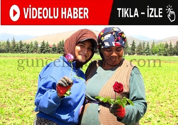 TARLADA ÇALIŞAN KADINLARA “ANNELER GÜNÜ” SÜRPRİZİ