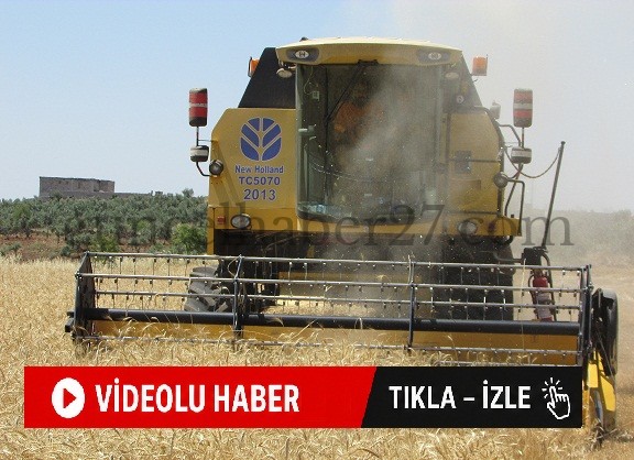 GAZİANTEP’TE HUBUBAT HASADI BAŞLADI