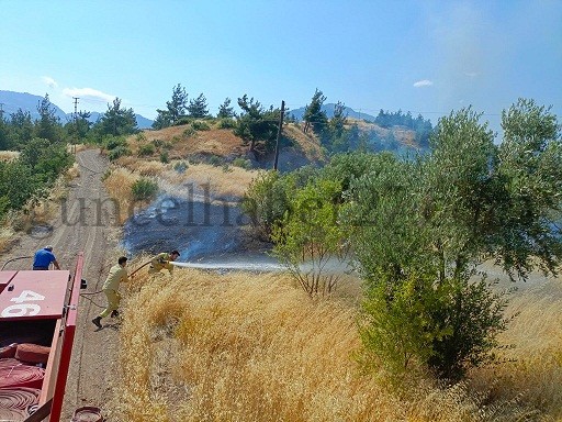 KAHRAMANMARAŞ’TA ZİRAAT ALANI YANGINI KONTROL ALTINA ALINDI