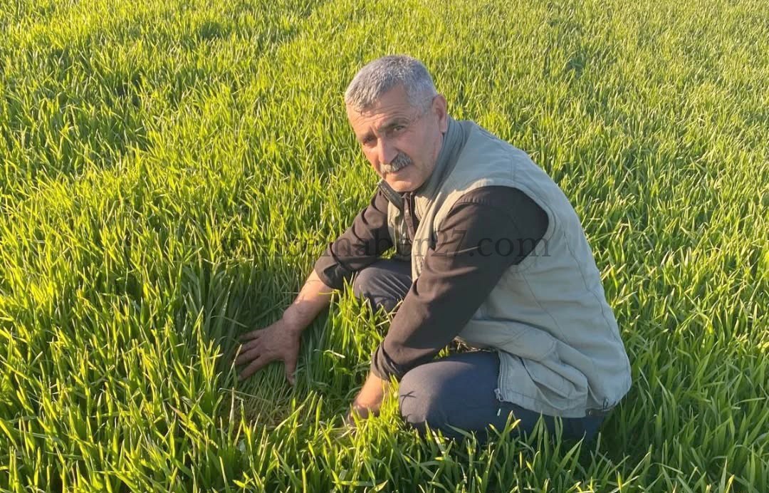 ZİRAAT ODASI BAŞKANI ERDOĞAN, BUĞDAY ALIM FİYATINI DEĞERLENDİRDİ