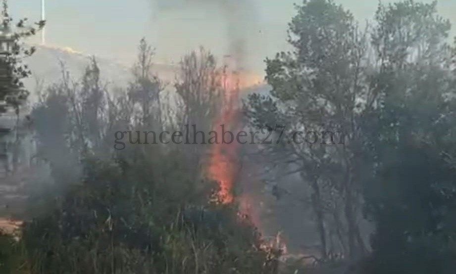 GAZİANTEP’TE 2 HEKTARLIK ORMAN YANDI