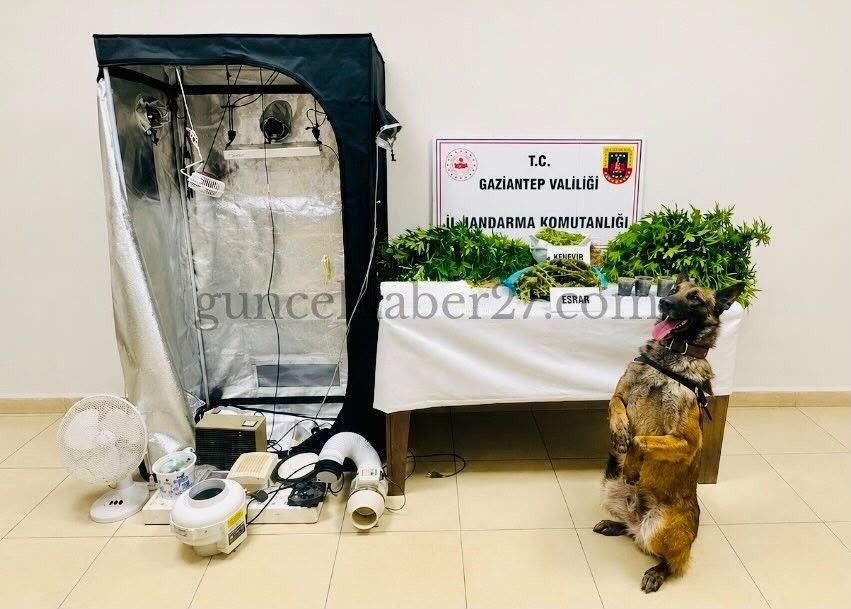 JANDARMA’DAN UYUŞTURUCU OPERASYONU