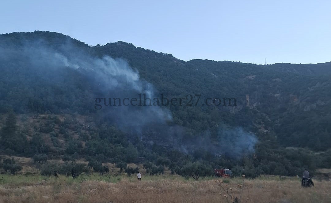 İSLAHİYE’DE ORMAN YANGINI
