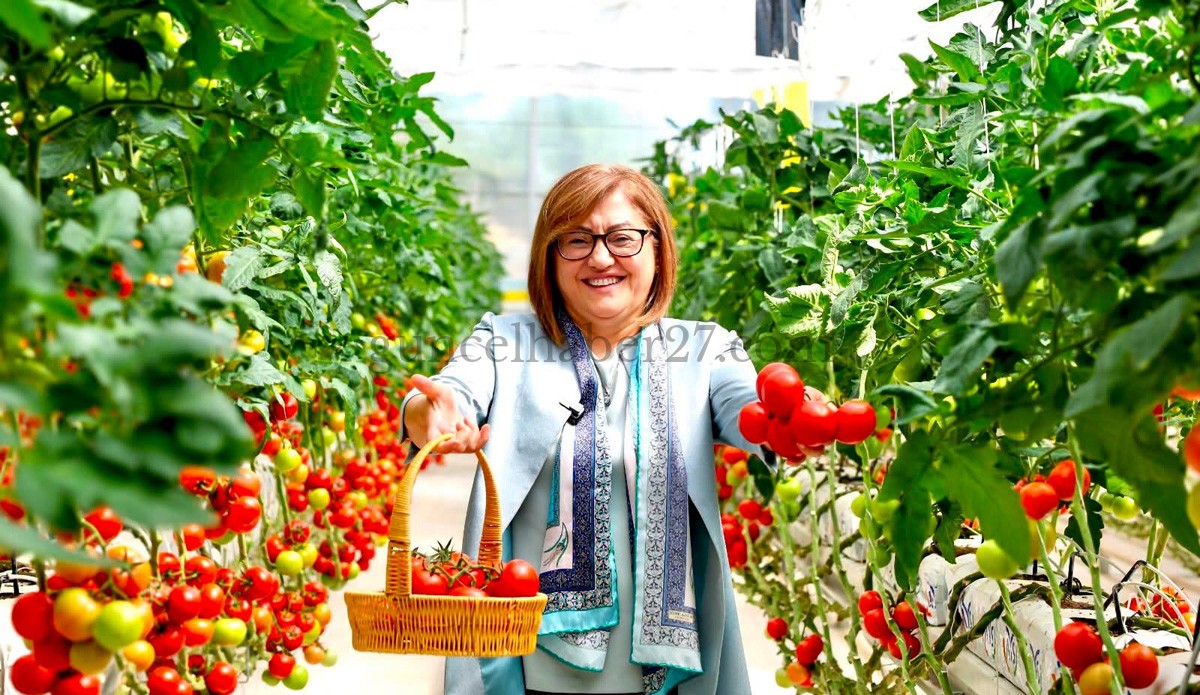 BAŞKAN FATMA ŞAHİN: ENERJİDEN ORGANİK ÜRETİME