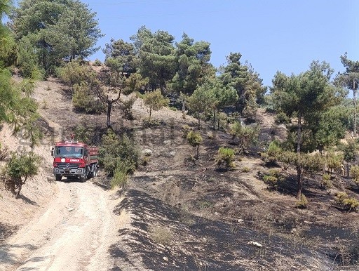 KAHRAMANMARAŞ’TA ORMAN YANGINI KONTROL ALTINA ALINDI