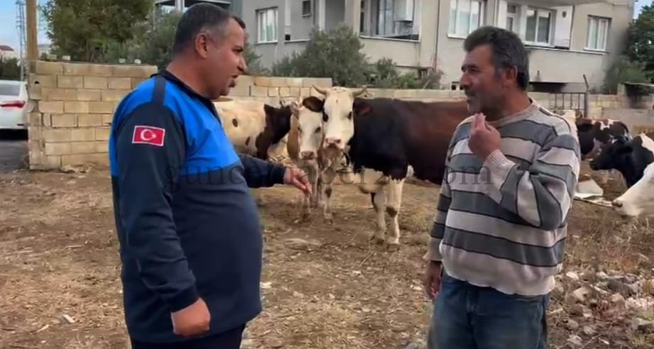 İSLAHİYE’DE ZABITA KAYBOLAN 17 HAYVANI SAHİBİNE TESLİM ETTİ