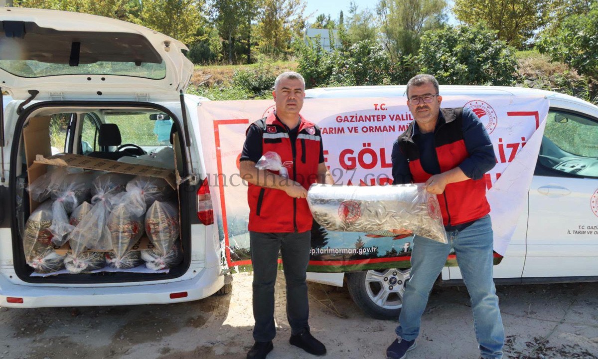 GAZİANTEP’TE BARAJ VE GÖLETLERE YAVRU BALIK BIRAKILDI