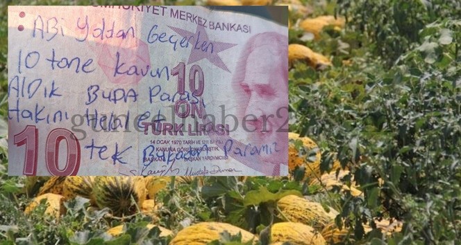 İSLAHİYE’DE TARLADA KAVUN ALIP PARASINI BIRAKTILAR