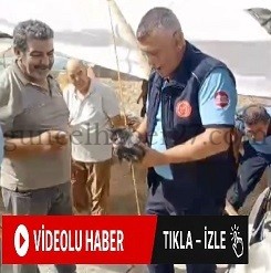 İSLAHİYE’DE MİNİBÜSÜN MOTORUNA GİREN YAVRU KEDİ KURTARILDI