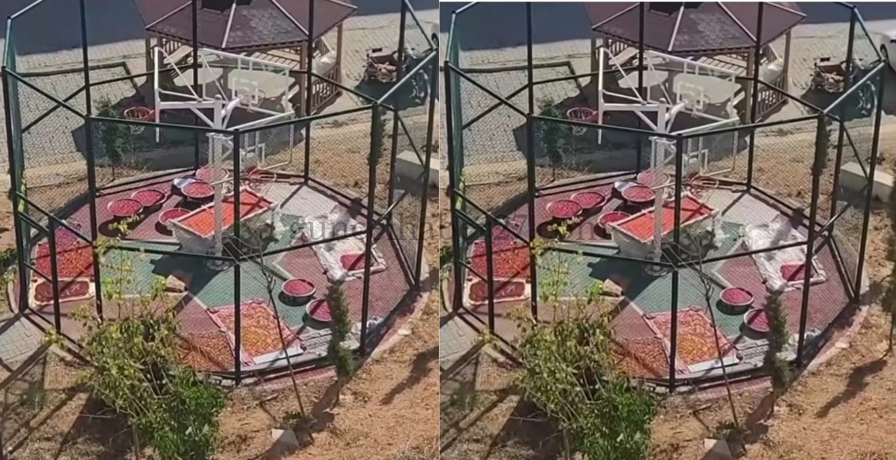 NURDAĞI’NDA BASKETBOL SAHASINDA SALÇA KURUTTU