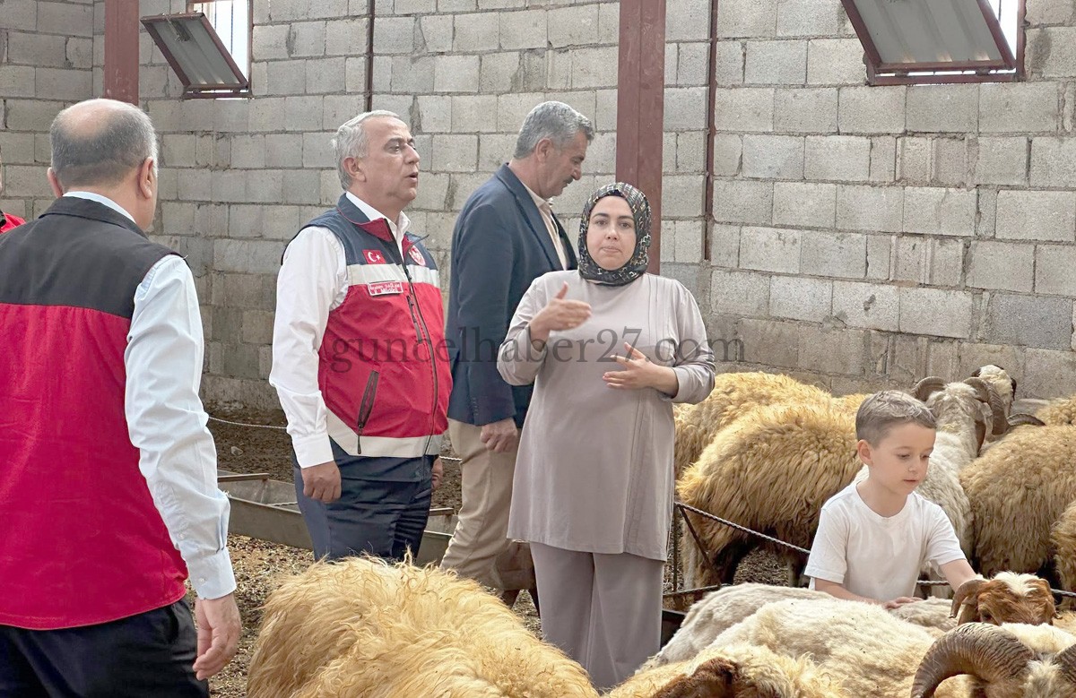 İSLAHİYE’DE KIRSAL BEREKET İLE HAYVAN DESTEK PROJESİ