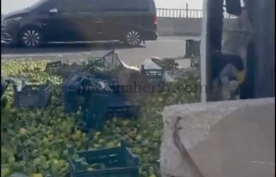 NURDAĞI’NDA DEVRİLEN KAMYONDAKİ MANDALİNLAR YOLA SAVRULDU