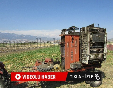 GAZİANTEP’TE ŞEKER PANCARI HASADI SÜRÜYOR